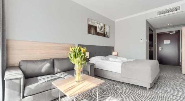 Двухместный номер Standard Hotel Leda Spa