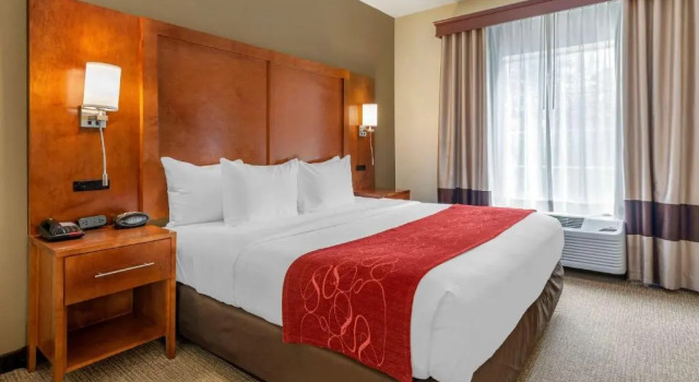Номер Standard Comfort Suites Newark - Harrison
