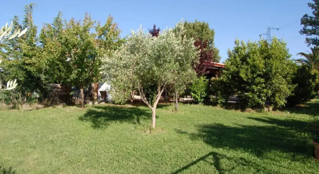 Апартаменты Agriturismo Il Cipresso
