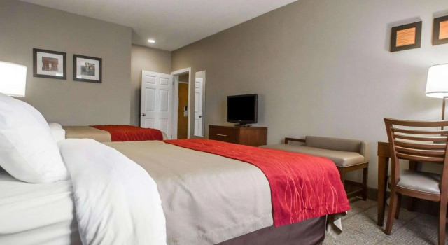 Comfort Inn Amite, Reserva ahora Hotel Hoteles en Misuri con piscina, Piscina