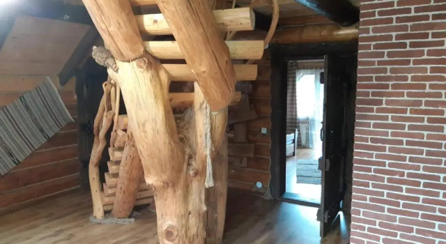 Коттедж Guest House Dikiy Zrub