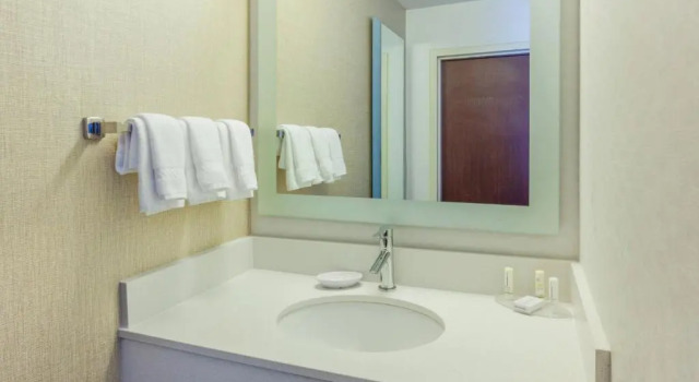 Студия SpringHill Suites Minneapolis West St. Louis Park