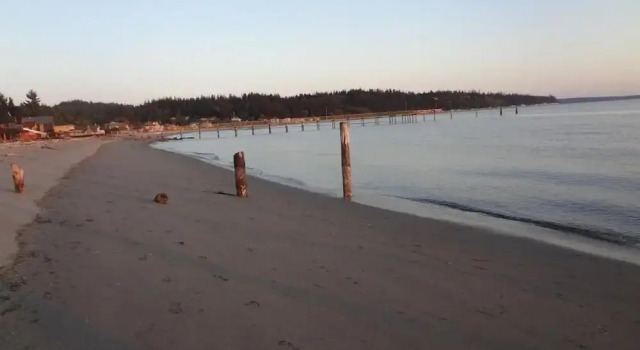 Коттедж c 1 комнатой с видом на море Beachfront Mutiny Bay Cabin