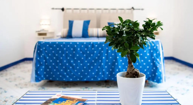 Двухместный номер Standard Alcione Residence