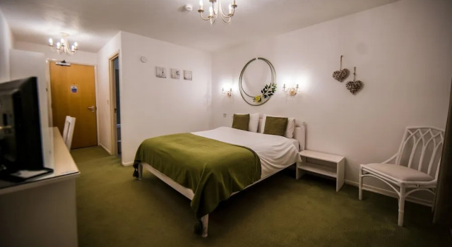 Номер Classic Gray Manor Hotel