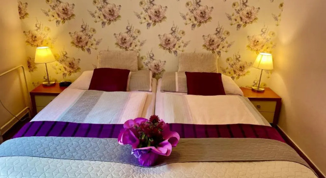 Двухместный номер Standard с красивым видом из окна Hotel Garni Expo