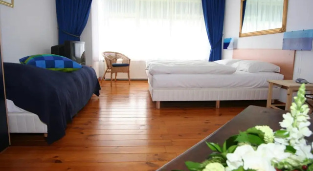 Hotel Albion
