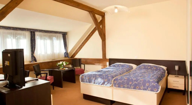 Ekonomiczny dwuosobowy pokój Château Liblice