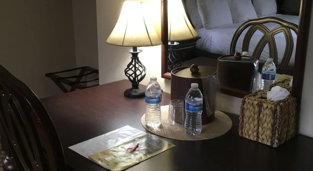 Двухместный номер Standard Colts Neck Inn Hotel