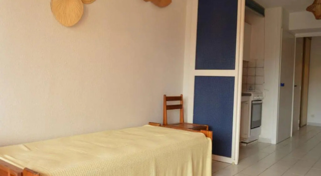 Appartement Argelès-sur-Mer, 1 pièce, 4 personnes - FR-1-225-639