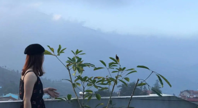 Двухместный номер Standard с видом на горы Misty Hostel Sapa