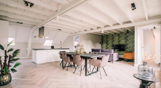 Апартаменты Stadsvilla Luxurious 3 room loft met airco Willem 2