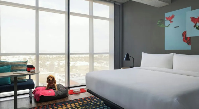 Люкс Aloft by Marriott Guadalajara Sur