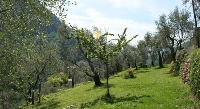 Gite Roya Mercantour, Rezervasyon Otel Breil-sur-Roya Mercantour National Park
