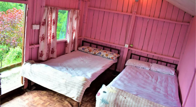 Двухместный номер Standard Jungle Crown Organic Homestay