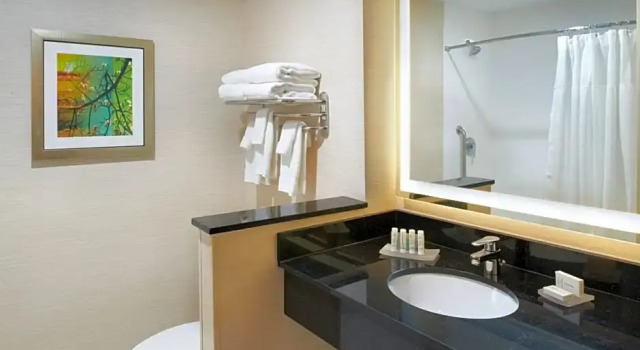 Номер Standard Fairfield Inn & Suites by Marriott Detroit Troy