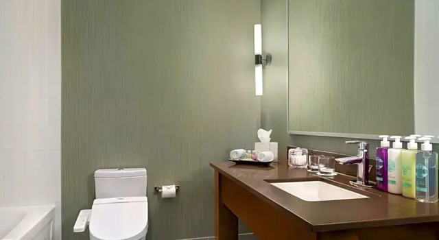 Двухместный номер Coast Coast Coal Harbour Vancouver Hotel by APA