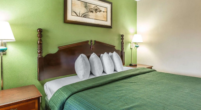 Люкс Quality Inn & Suites Macon North