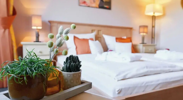 Номер Economy NaturPurHotel Maarblick