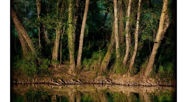Коттедж El Rincón de San Benito