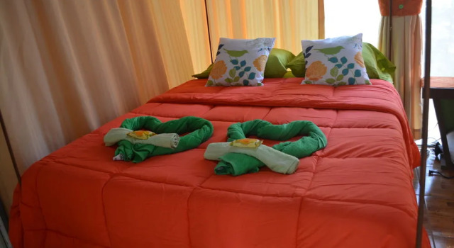 Hotel Tortuguero Jungle, Rezerwuj Hotel Hotele w Tortuguero z basenem, Basen