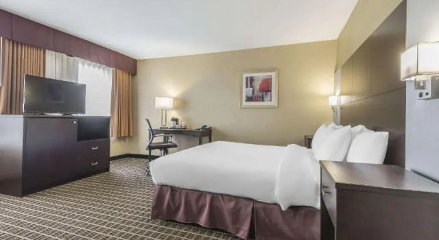 Номер Standard Quality Inn & Suites Windsor - Downtown
