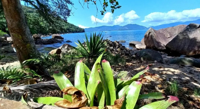 Люкс Standard Suítes Cantinho do Sossego em Ubatuba