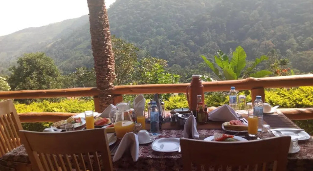 Ekonomiczny pokój Bwindi Forest Lodge