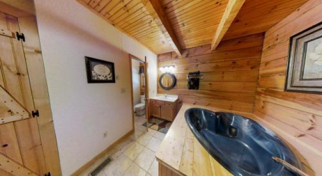 Cabin Fever