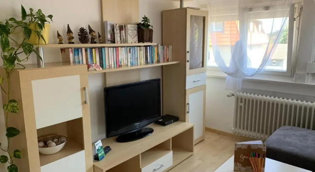 Апартаменты Ferienwohnung Frühlingsau