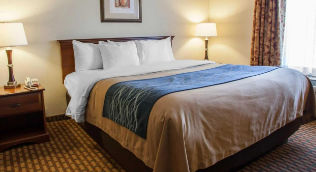 Номер Standard Comfort Inn & Suites Harrisonville
