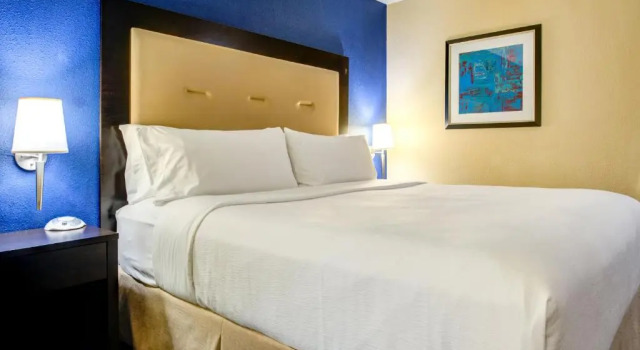 Номер Standard Holiday Inn Indianapolis North-Carmel by IHG