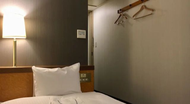 Одноместный номер Economy Ueno Terminal Hotel