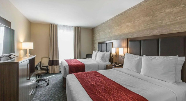 Четырёхместный номер Standard Comfort Inn & Suites Airport North