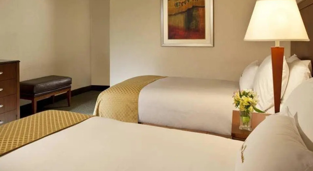 Одноместный номер Standard DoubleTree by Hilton Minneapolis Park Place