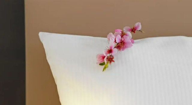 Номер Comfort Das Prinzregent