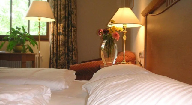 Двухместный номер Standard с видом на озеро Hotel Ansitz Kematen ***S