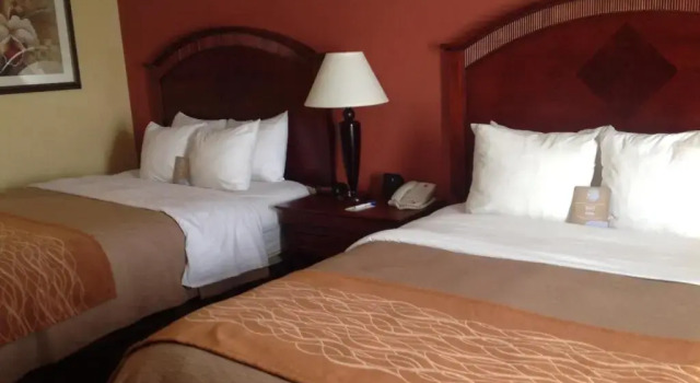 Четырёхместный люкс Comfort Inn & Suites Houston West-Katy