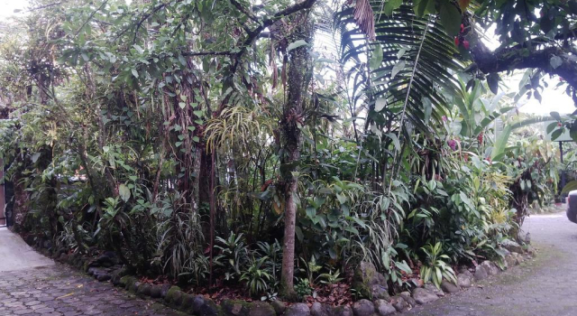 Hotel los Yutzos, Book Hotel Hotels in Amazonas with Parking, Parking