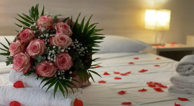 Полулюкс B&B Hotel Roy