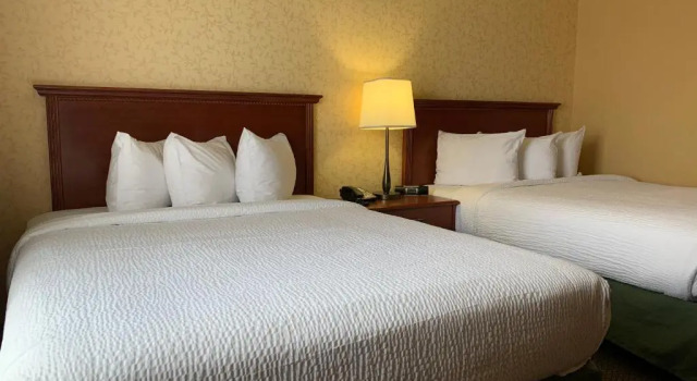 Четырёхместный номер Superior Merit Hotel & Suites