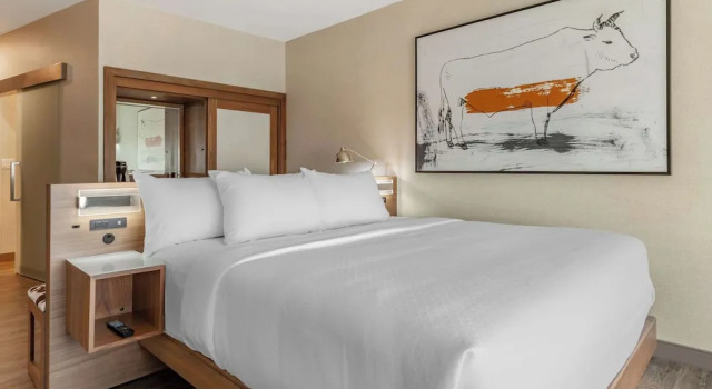 Номер Executive Cambria Hotel Plano - Richardson Garland