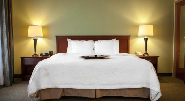Standard Yhden hengen huone Hampton Inn & Suites, Springfield SW