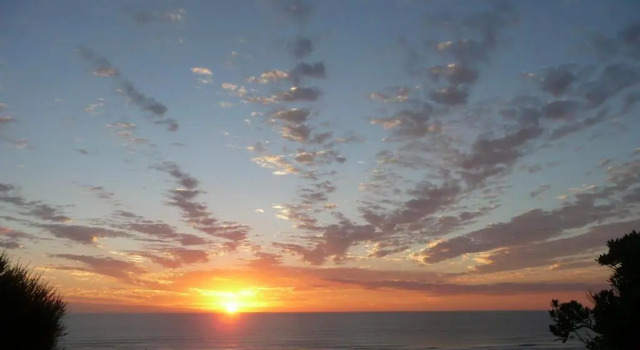 Коттедж Bethells Beach Cottages