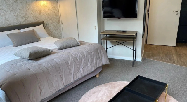 Студия с видом на сад La Villa Beaupeyrat - Appart Hôtel de charme avec cuisines équipées dans bâtisse de caractère à 400m du cœur de ville de Limoges - Accès autonome