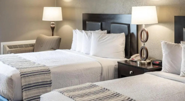 Номер Deluxe THE BRANSINN Entertainment District