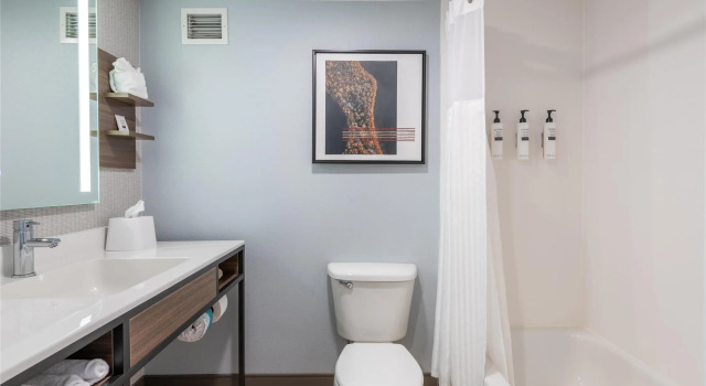Четырёхместный номер Standard Hilton Garden Inn Auburn Riverwatch