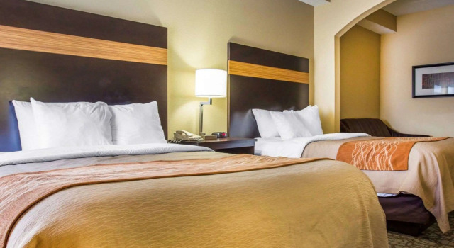 Четырёхместный люкс Comfort Inn & Suites at Stone Mountain