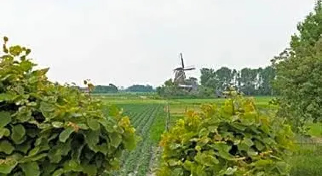 B&B Lauwersstate, Book Bed and Breakfast Moddergat Frisland