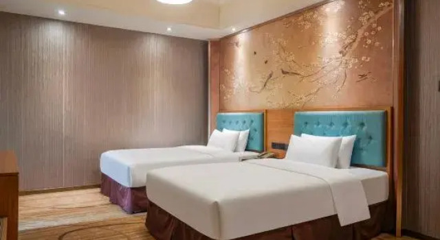 Двухместный люкс Superior Wanjia International Hotel